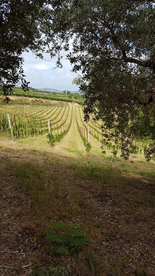 B&B Corte Galo Tregnago Bagian luar foto